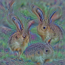 n02326432 hare